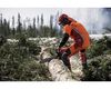 Husqvarna 565 20 Inch and C85 Chain 5HP Gas-Powered Chainsaw, small image number 3