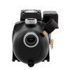 K2 Pumps Shallow Well Jet Pump 3/4 HP Lead Free Thermoplastic 115/230V, small image number 3