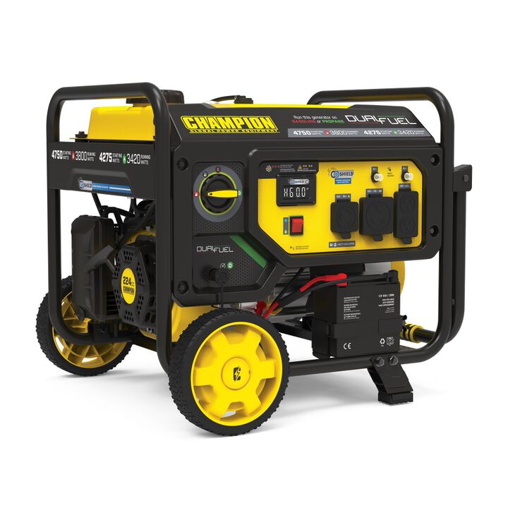 Champion Power Equipment 4750-Watt Electric Start Dual Fuel 50 State RV Ready Portable Generator CARB Compliant