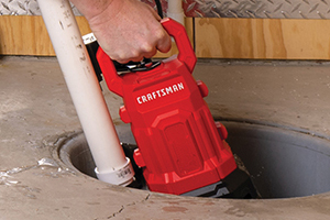Craftsman 0.5 Hp sump pump with vertical switch