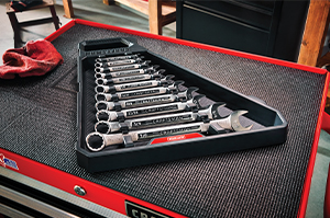 Craftsman 11 piece Sae raised panel combination wrench set