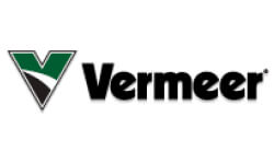 vermeer image